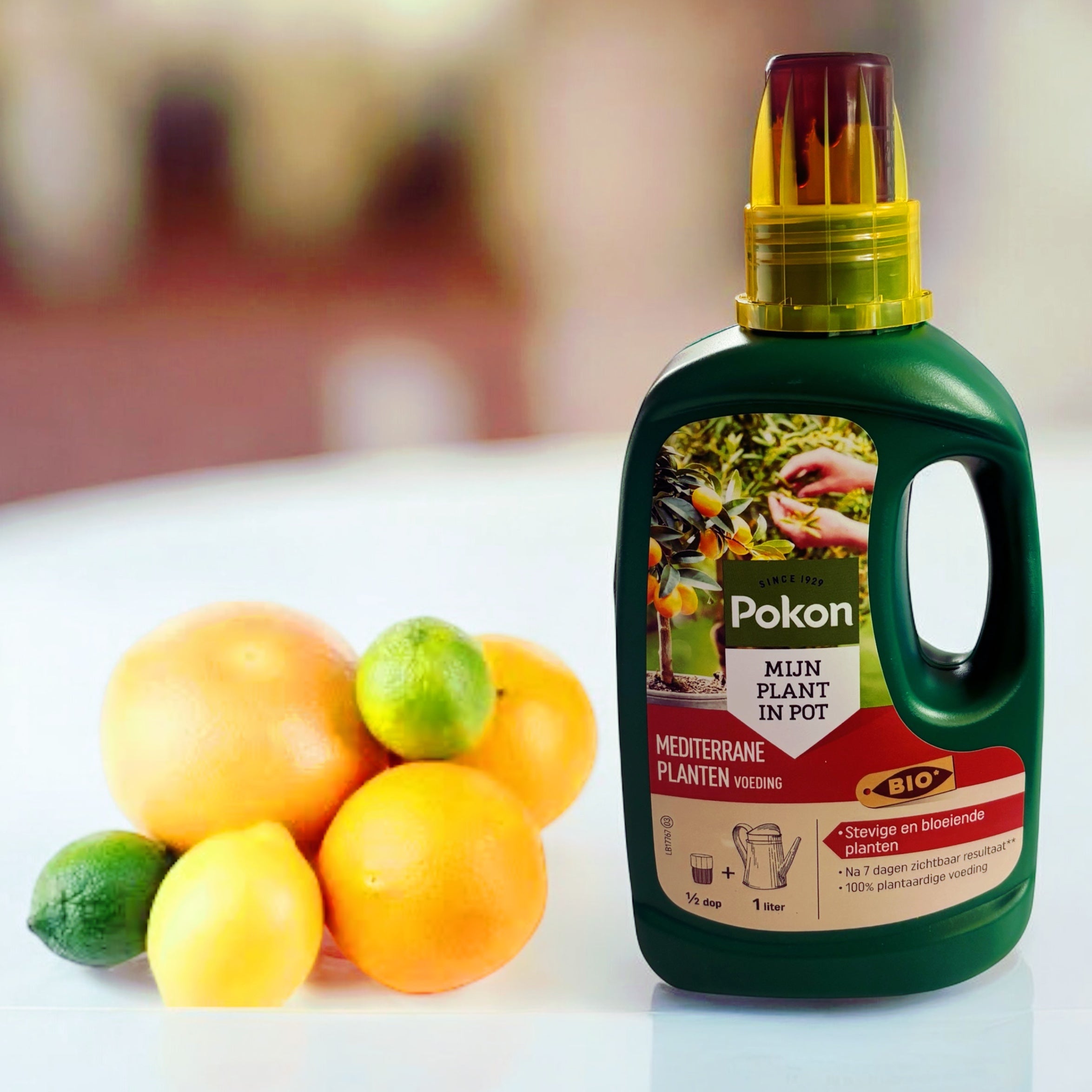 BIO-Zitrusdünger 500ml (Zitruspflanzen, Oleander, Olivenbäume) – Secret  Garden Plant Shop