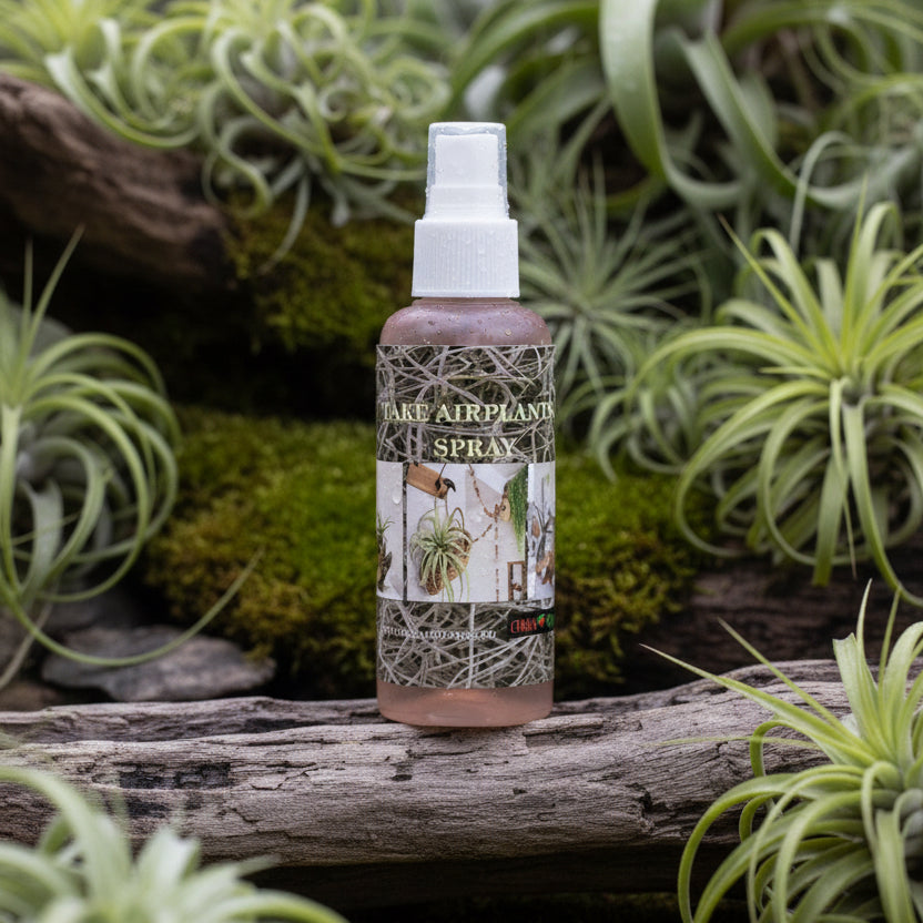fertiliser for air plants Nourishing spray Tillandsia – organic fertilizer for air plants – Secret Garden Plant Shop