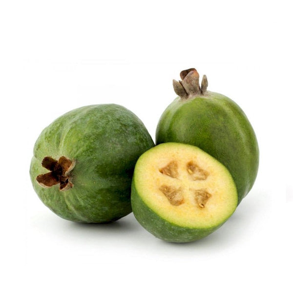 Acca sellowiana (Feijoa sellowiana, Ananas Guava)