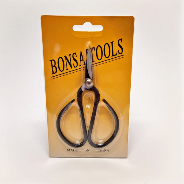 Traditional scissors for bonsai and other plants