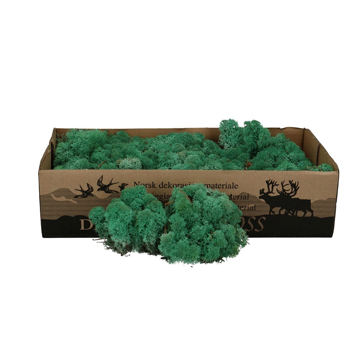 Moss natural, muschi conservat, licheni conservati pentru terarii, pret