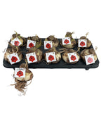 Hippeastrum Dark Red – vörös virágú amarillisz hagymák