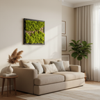 Tablou cu licheni stabilizati verde