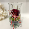 Cumpara acum trandafir criogenat rosu in sticla la un pret online special!