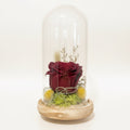 Comanda trandafir criogenat rosu in cupola de sticla, pret online special!