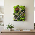 Tablou licheni decorativi  si elemente decorative naturale, pret atractiv