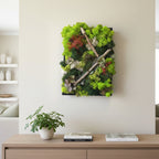 Tablou licheni decorativi  si elemente decorative naturale, pret atractiv