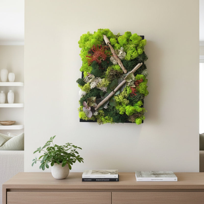 Tablou licheni decorativi  si elemente decorative naturale, pret atractiv