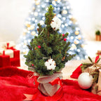 Potted Christmas Tree Decorated ‘Christmas Joy’