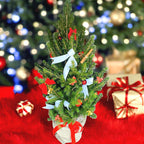 Bradut 'Frosty' – Cadoul incantator de Craciun: bradut natural impodobit in ghiveci