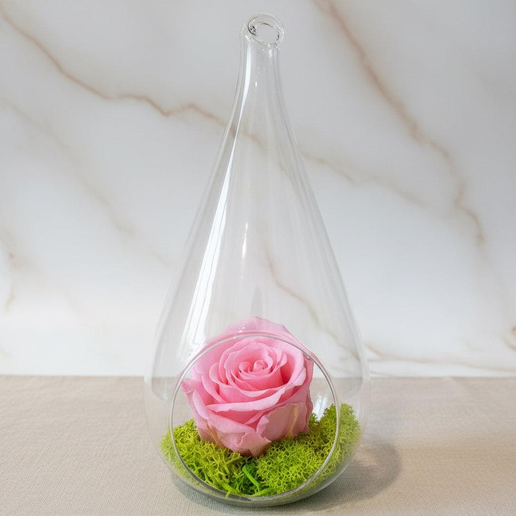 Trandafir criogenat roz in terarium lacrima
