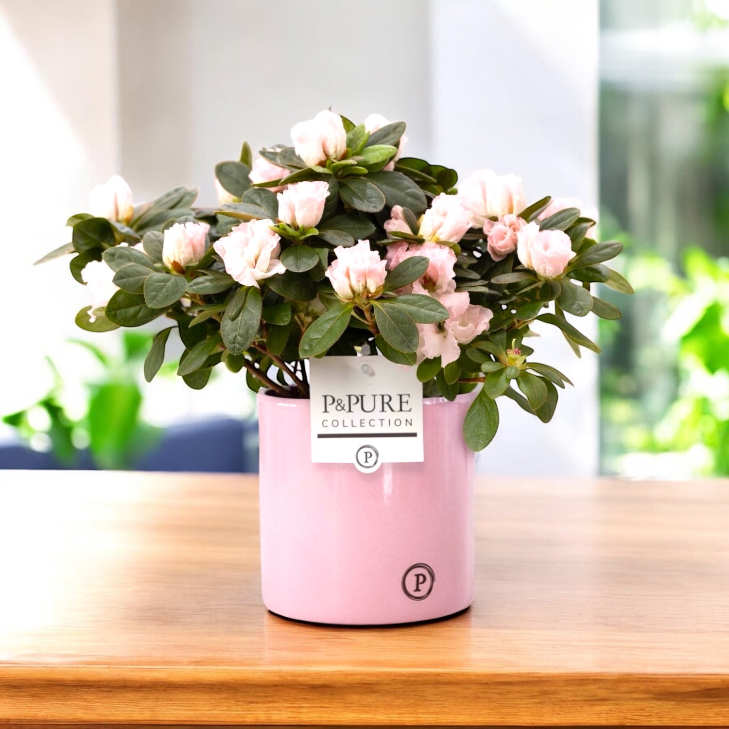 Ghiveci ceramic roz lucios Essential Shiny Pink D13