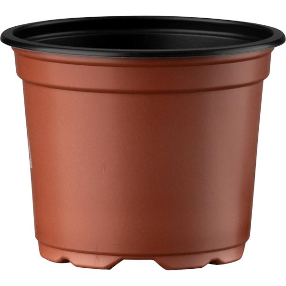 Maceta mate de plástico D17 cm