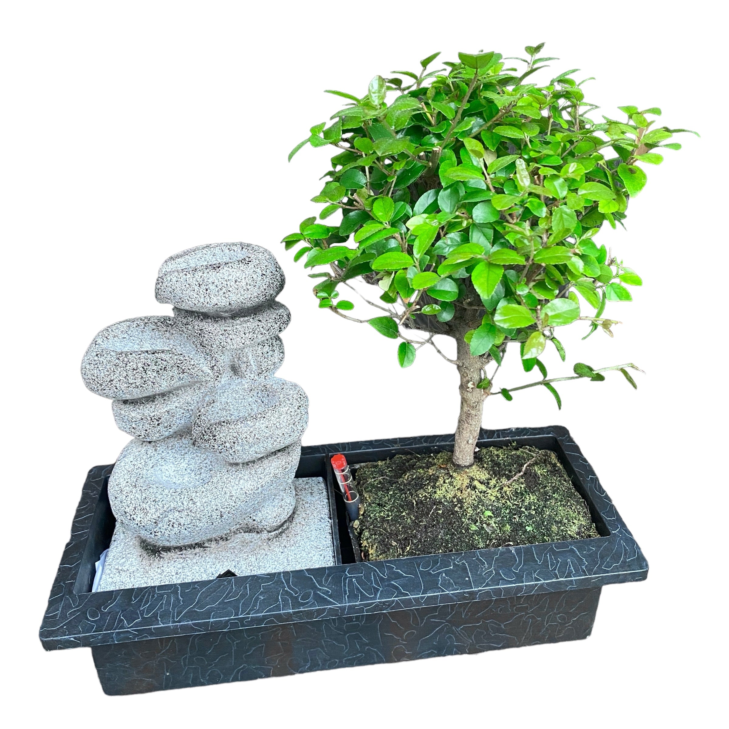 Bonsai - Stone Waterfall fountain