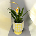 Vas decorativ  ceramic alb cu galben