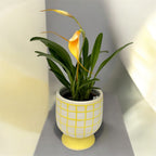 Vas decorativ  ceramic alb cu galben