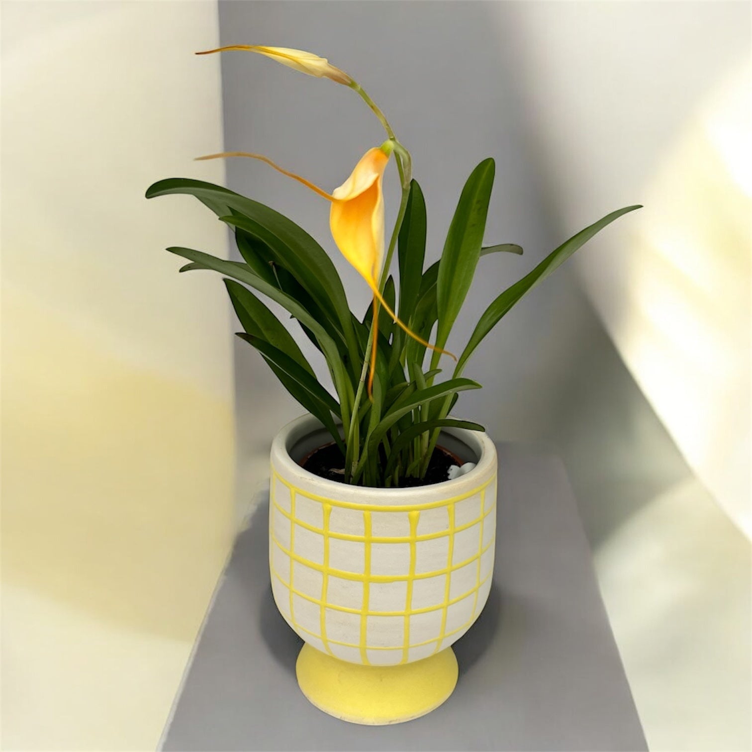 Vas decorativ  ceramic alb cu galben