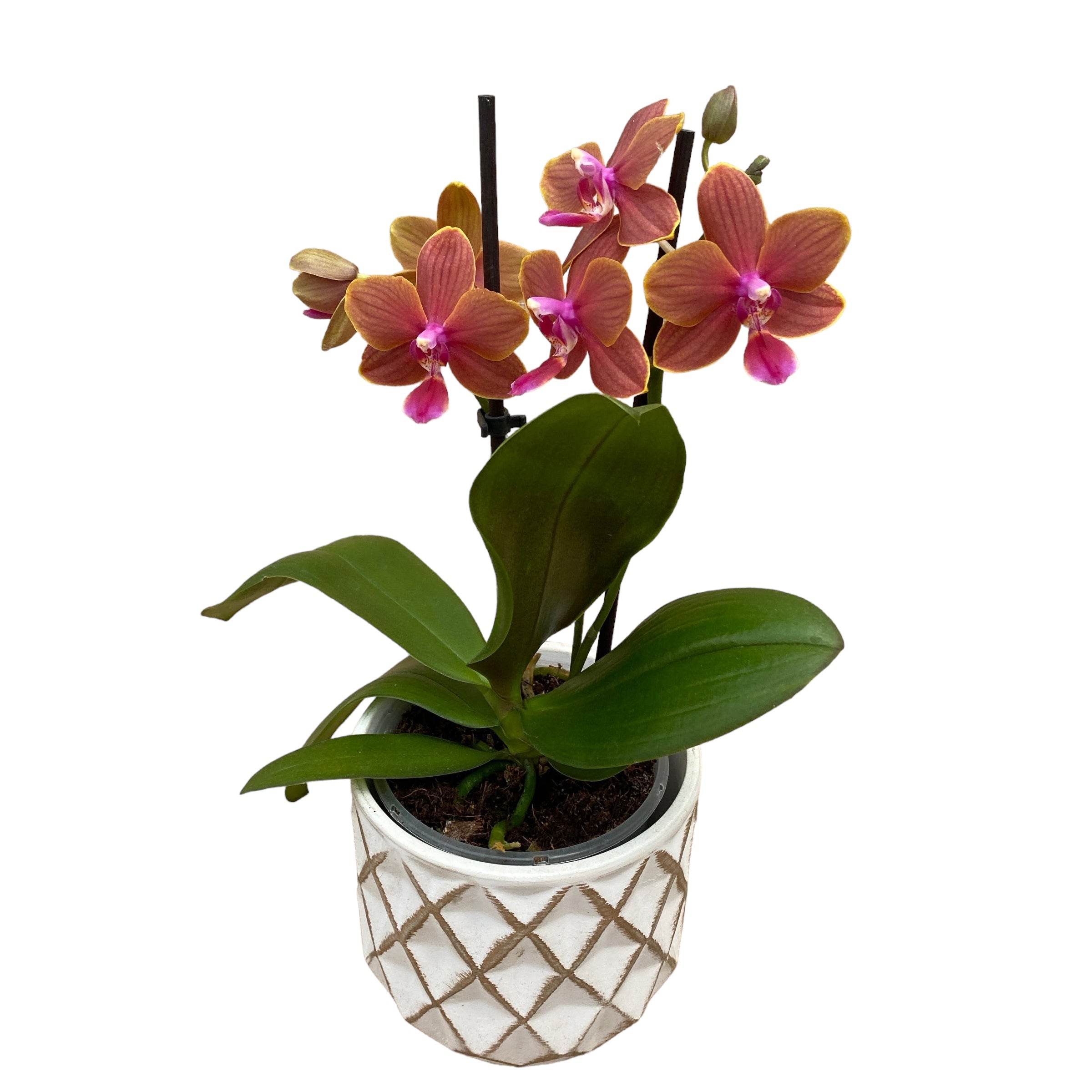 Vas decorativ din ceramica Passion Collection D9