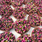 Anacampseros rufescens ‘Tricolor’