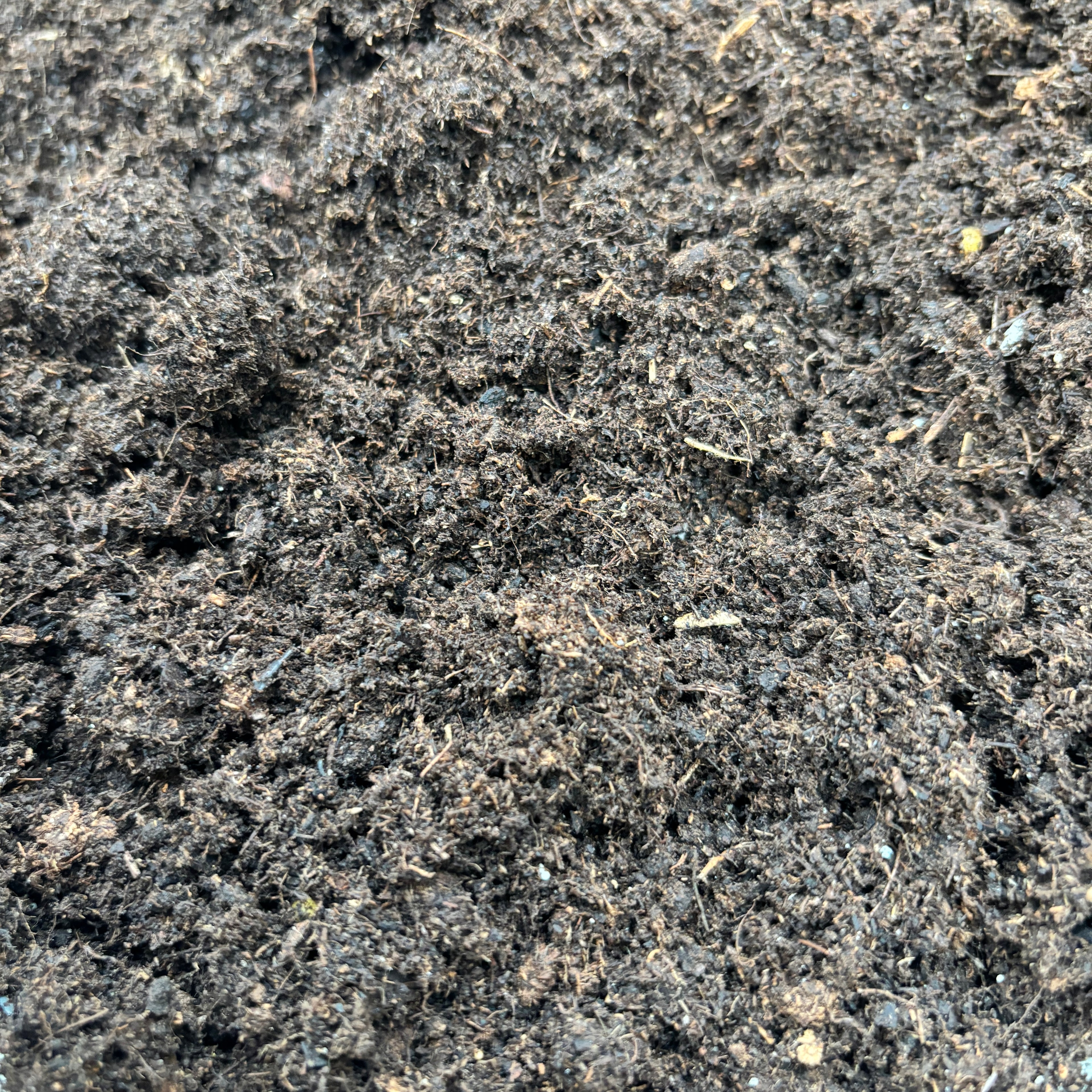 Pamant universal premium de flori (Olanda)