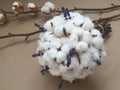 Buchet de cununie cu flori de bumbac si lavanda