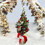 Brad 'Magic White' – Cadoul feeric de Craciun: brad natural impodobit in tonuri alb-argintiu