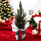 Natural Christmas fir tree decorated with golden ornaments ‘Goldie’