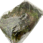 Platmos - flat moss (100 g)