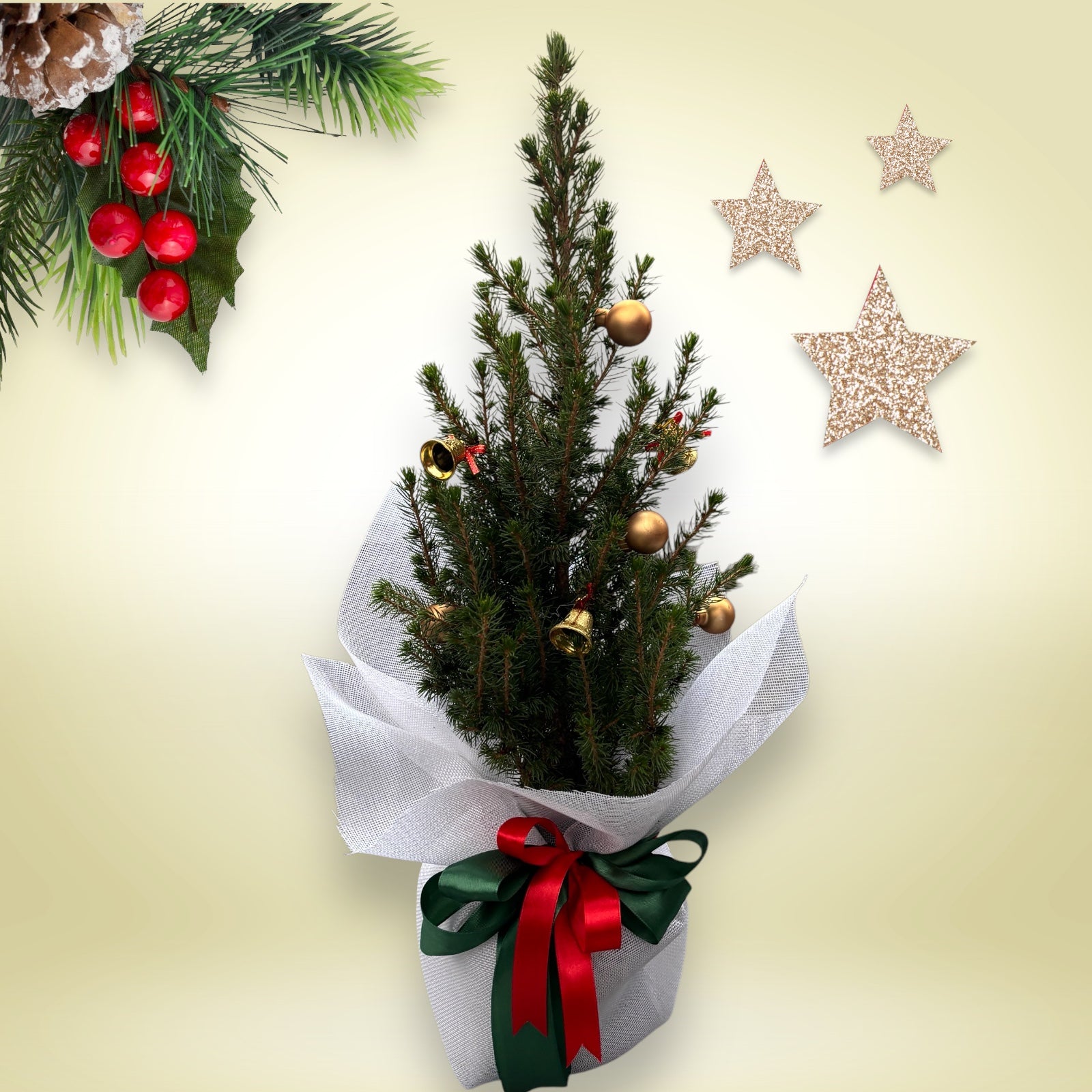 Brad natural de Craciun impodobit cu ornamente aurii ‘Goldie’