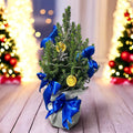Bradut „Winter Blue Gift” – Brad natural decorat, impachetat de cadou