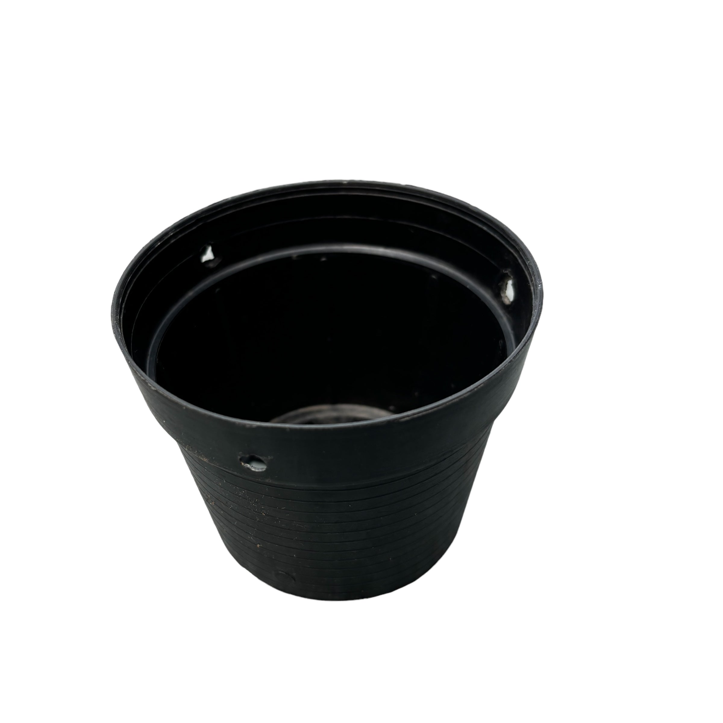 Ghiveci plastic negru D10 cm