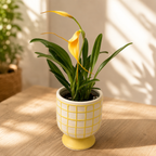 Vas decorativ  ceramic alb cu galben