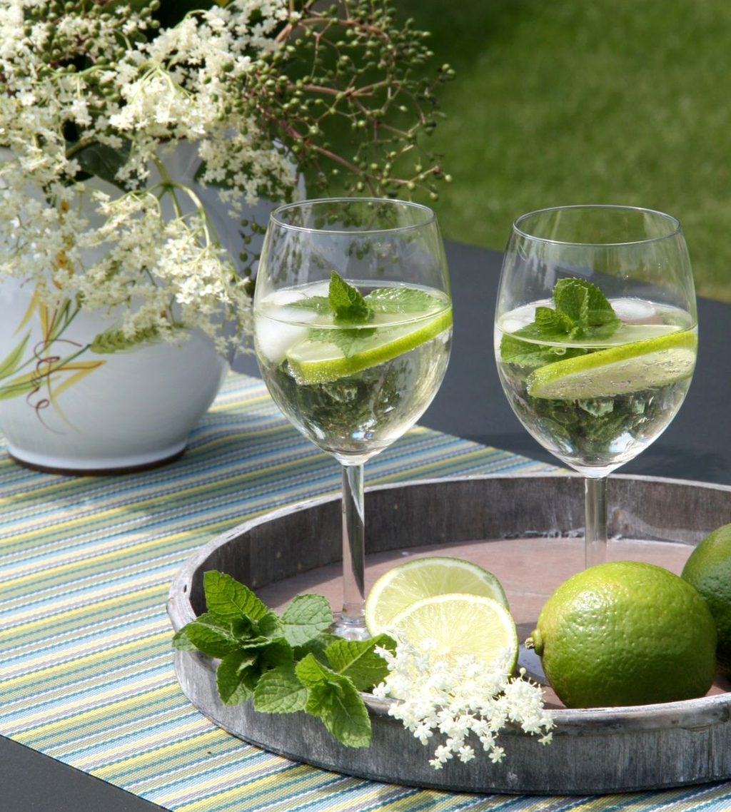 Menta - Mentha spicata 'Hugo' (Cocktailminttu) - luomuviljely