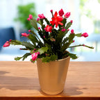 Ghiveci decorativ ceramic Mariah