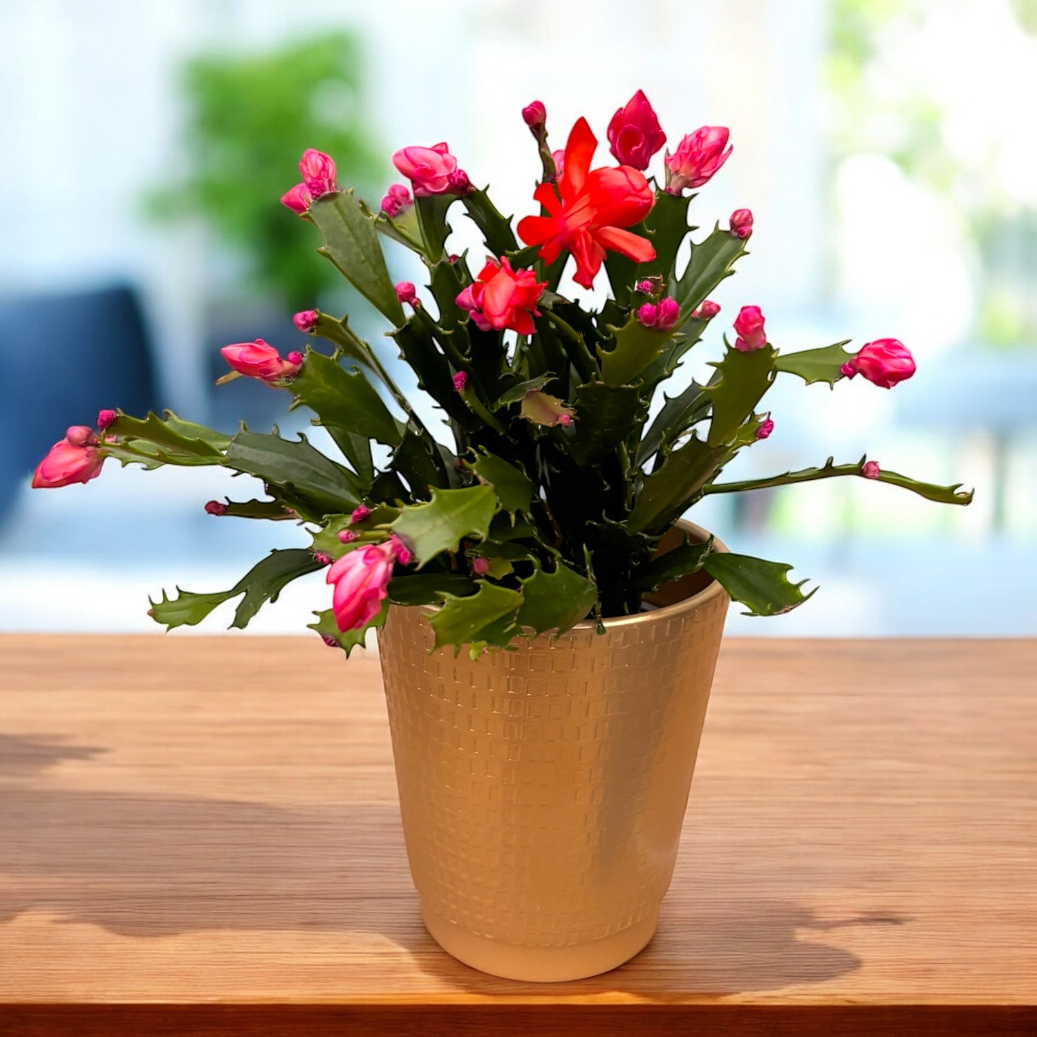 Ghiveci decorativ ceramic Mariah