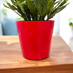 Piros díszvas hópelyhes mintával