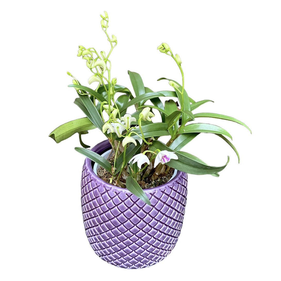 Vas decorativ din ceramica Pineapple Purple D9