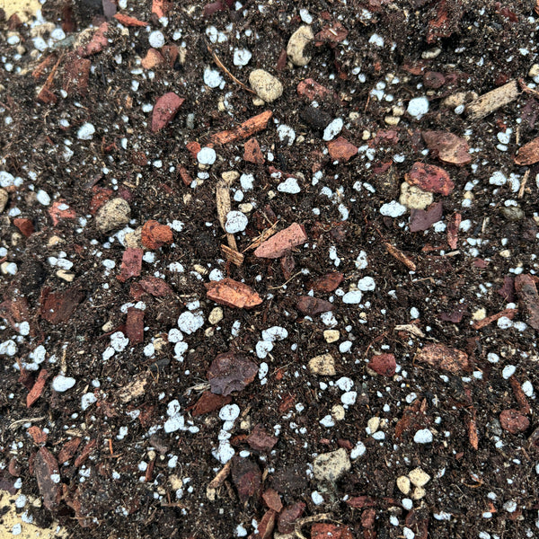 Substrate for acidophilic plants - Gardenia, Azalea, Hydrangea, etc. - Secret Garden mix