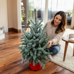 Brad argintiu in ghiveci XL - Picea pungens 'Super Blue' H85-90 cm