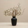 Crengi decorative spiralate