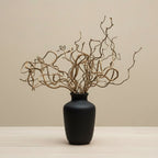 Crengi decorative spiralate