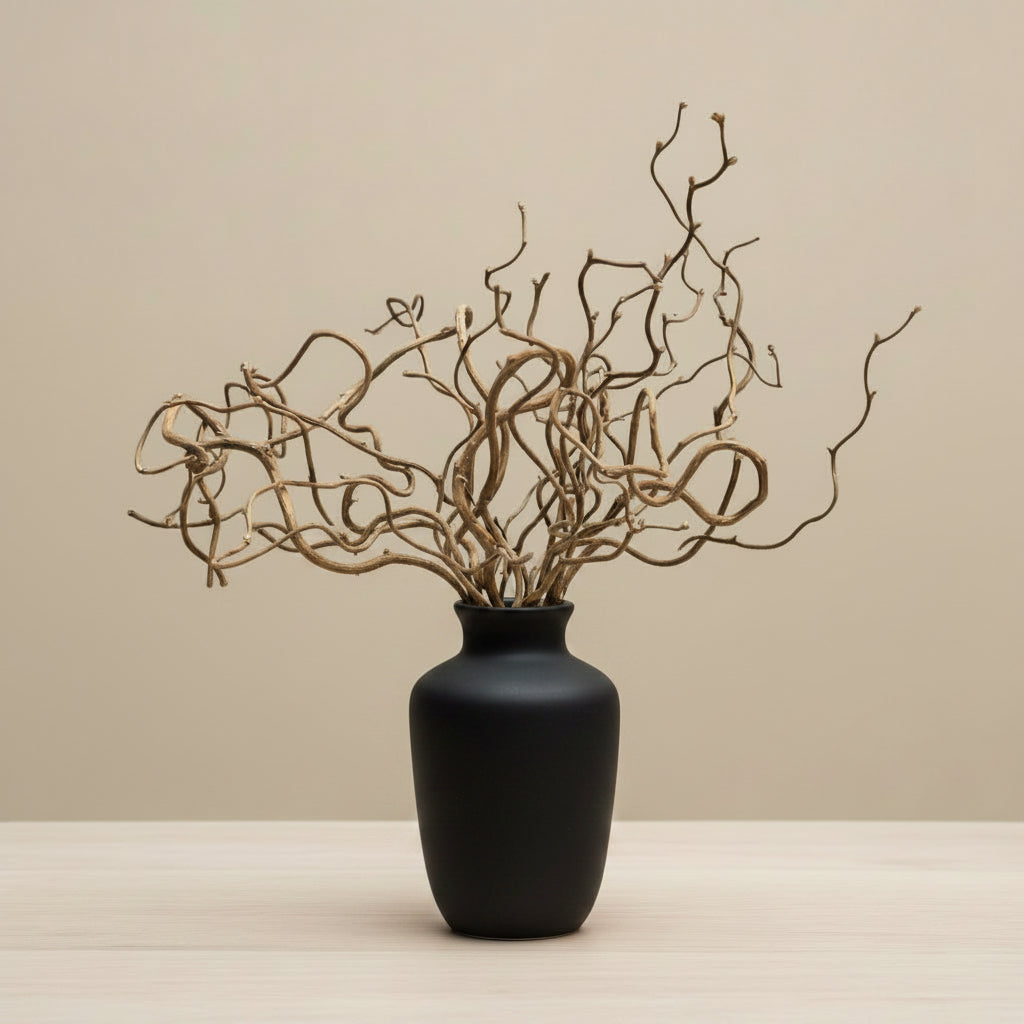 Crengi decorative spiralate
