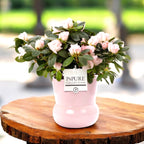 Vas decorativ din ceramica roz Maxima D13