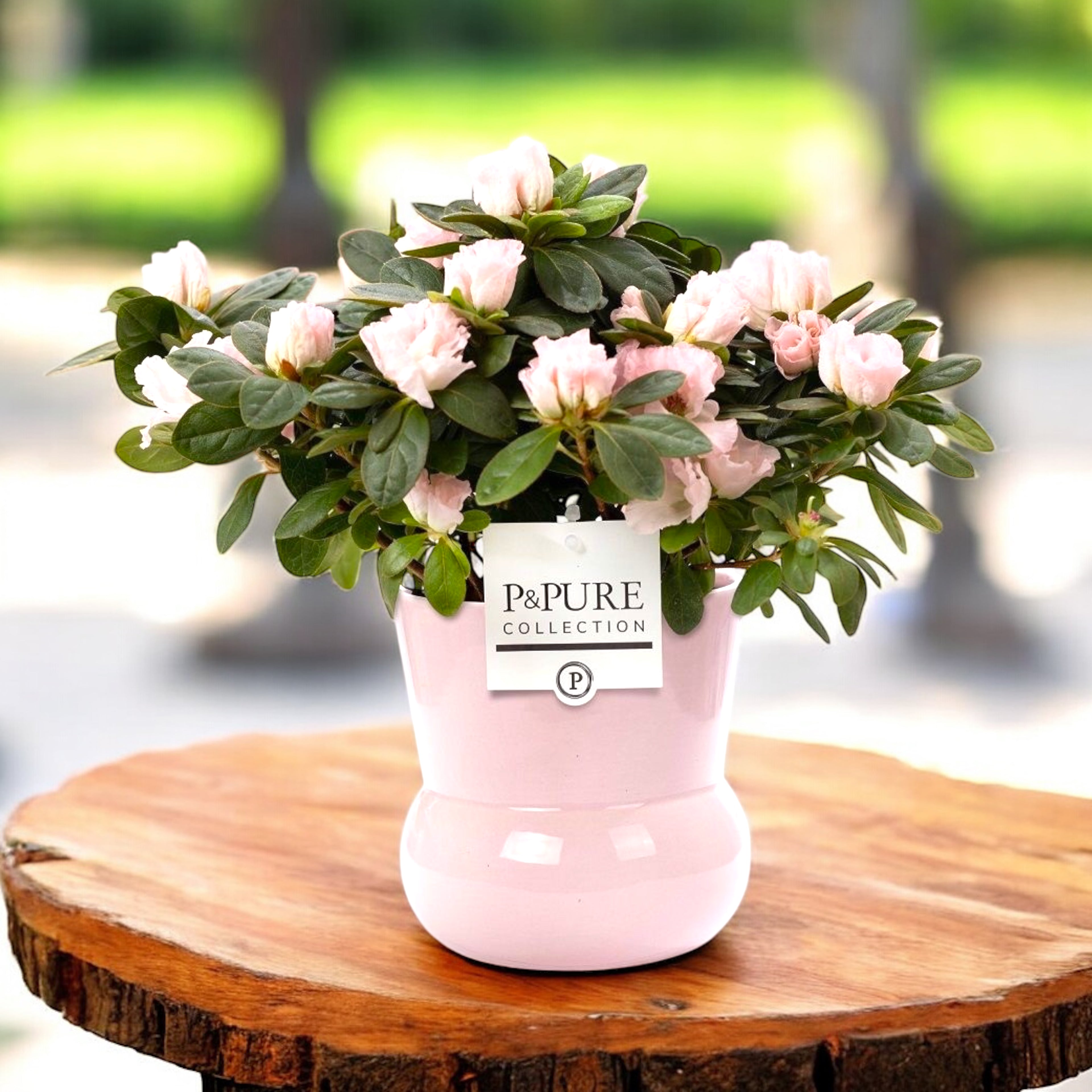 Vas decorativ din ceramica roz Maxima D13