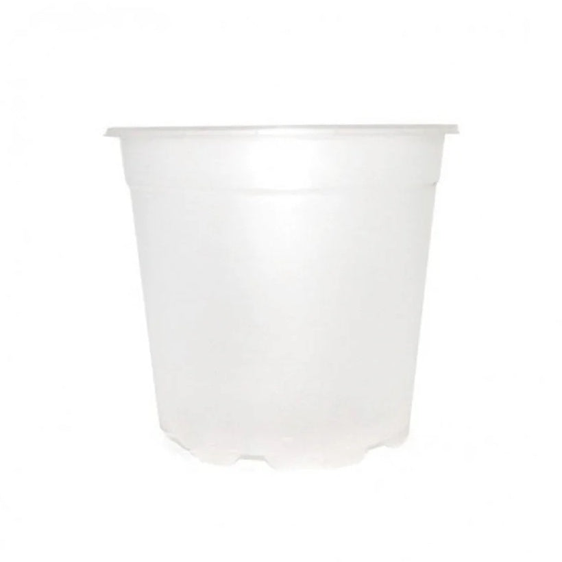 Ghiveci orhidee, plastic D17cm