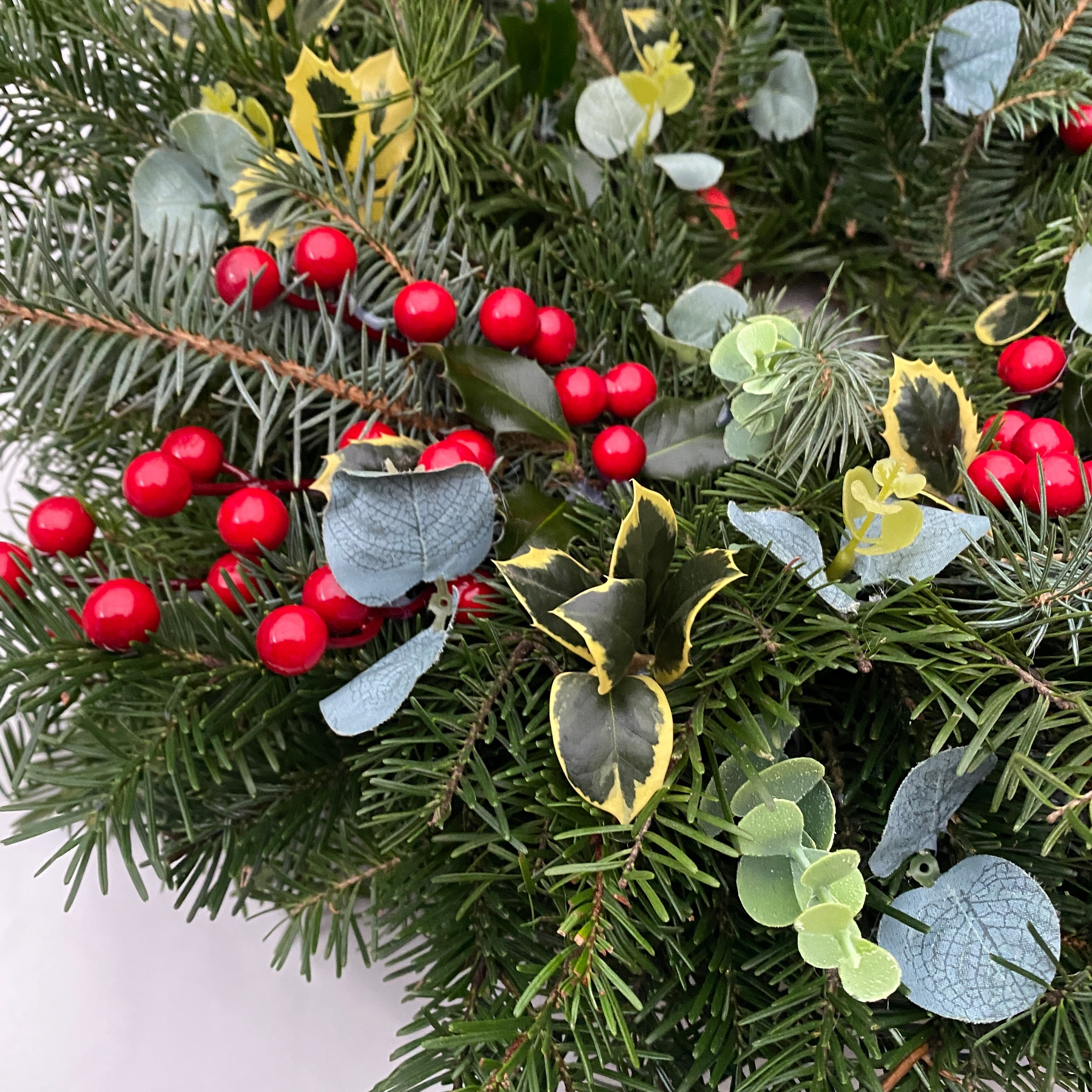 Coronita naturala de Craciun