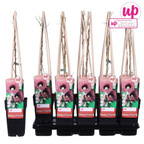 Aristolochia macrophylla (Pfeifenwinde, Pfeifenrebe)