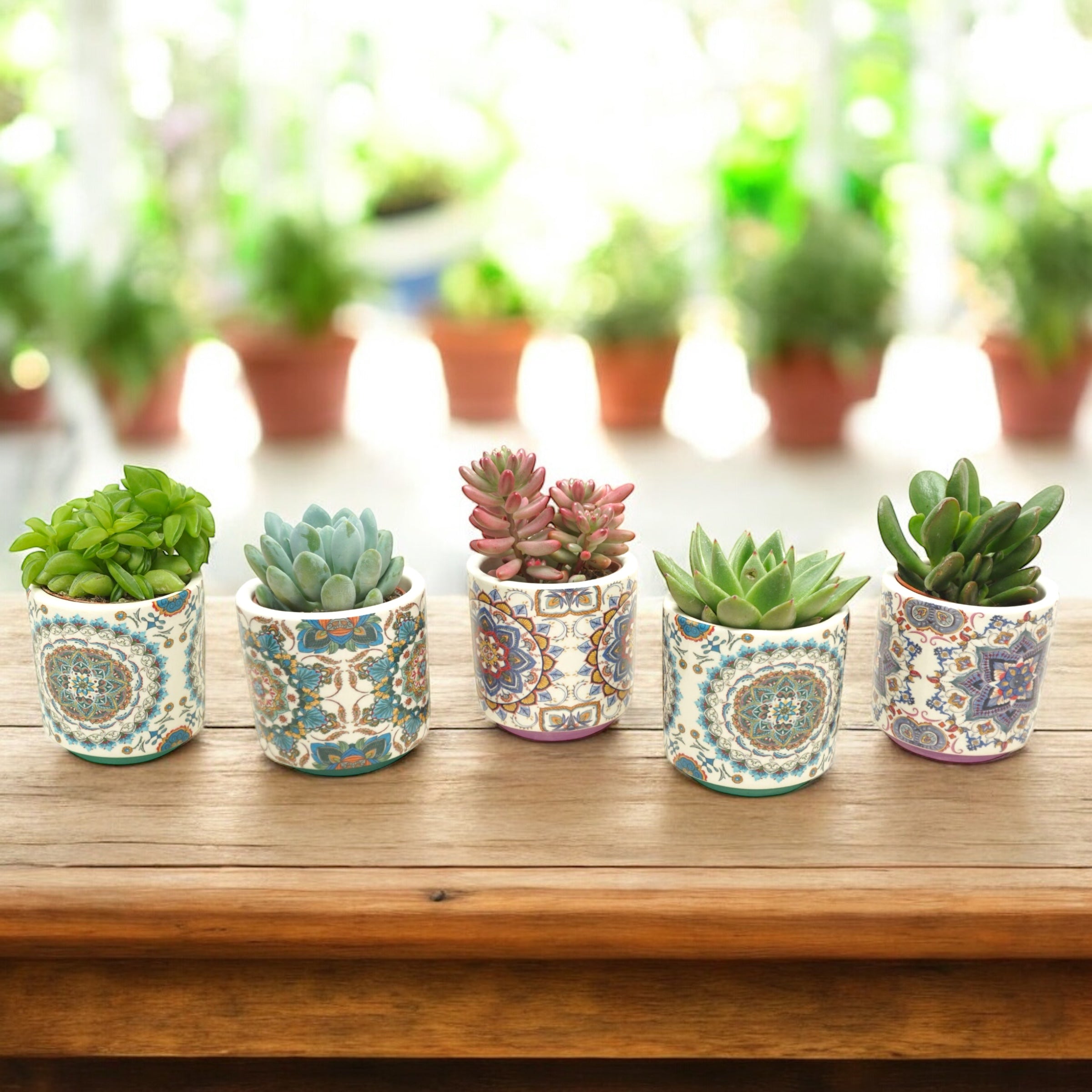 Vas ceramic Marrakesh D5 – inspiratie orientala pentru plante mici, suculente si cactusi