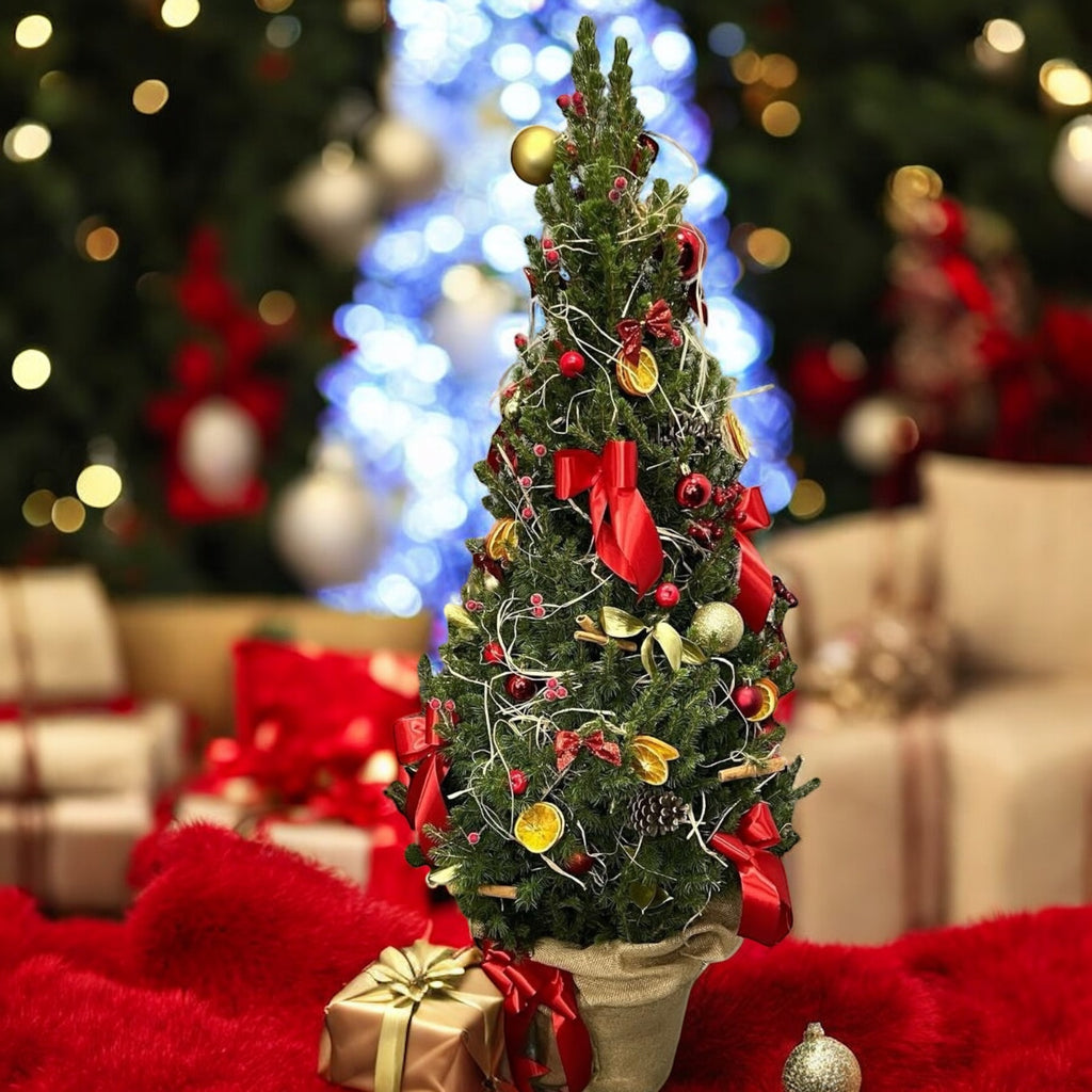 Abeto ‘Golden Magical’ – arreglo natural decorado, listo para regalar