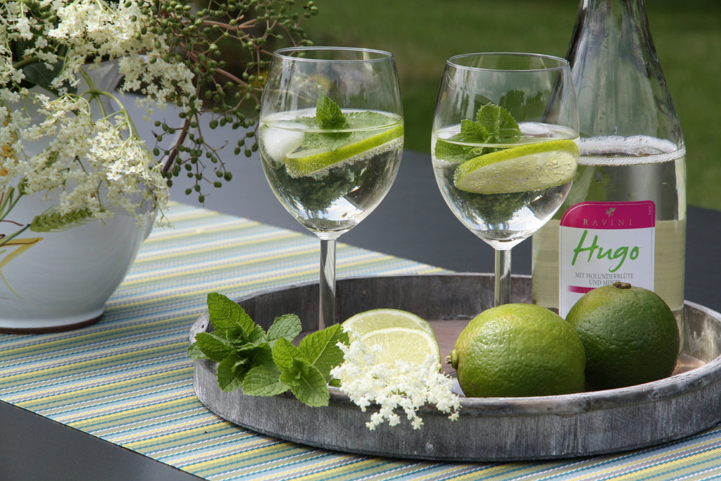 Menta - Mentha spicata 'Hugo' (Cocktailminttu) - luomuviljely